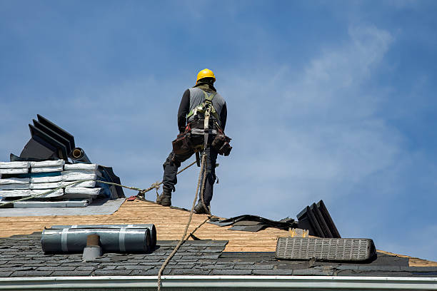 Professional Gutter Installation technician working in Walden, TN